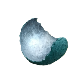 1000002424 roh png taustata.png