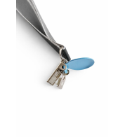 ChatGPT Image Jan 5, 2026, 02_28_22 PM.png